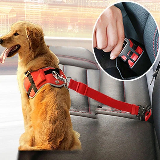 Adjustable Pets Safety Collars