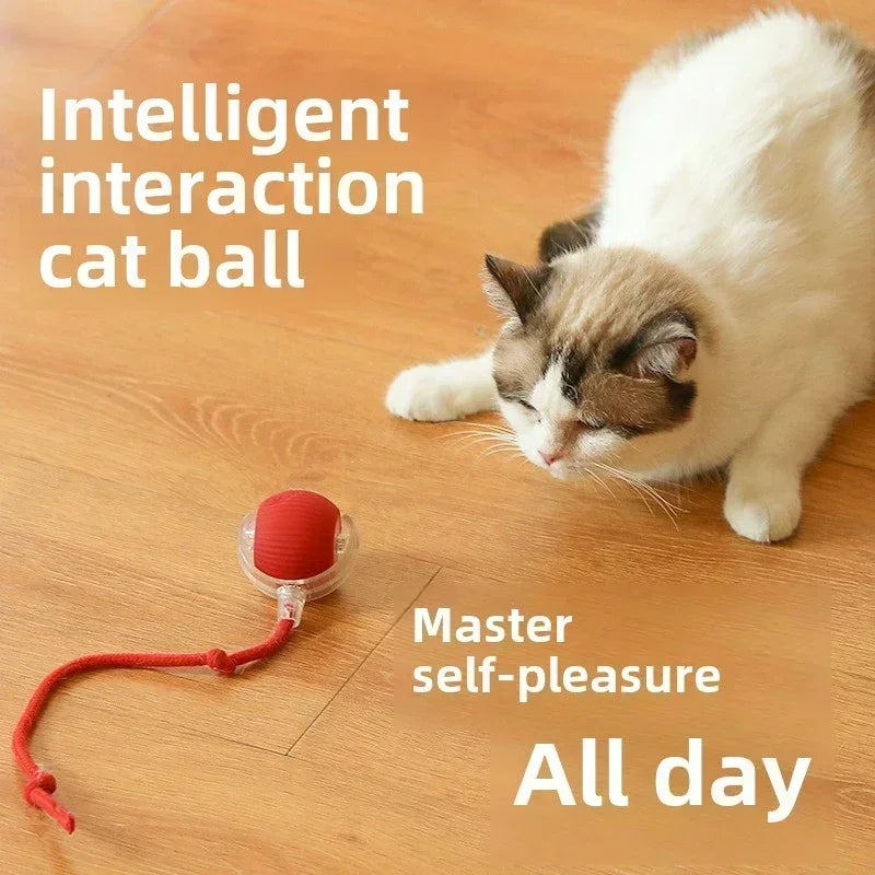 Rechargeable Pet Interactive Electric Toys