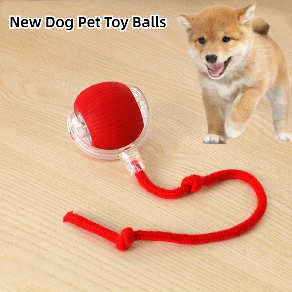 Rechargeable Pet Interactive Electric Toys