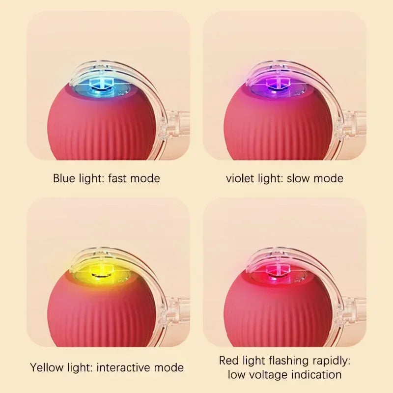 Rechargeable Pet Interactive Electric Toys